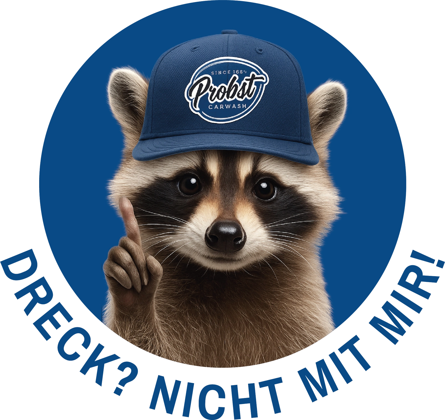 Logo Probst Carwash GmbH - Autowaschanlage mit Bistro